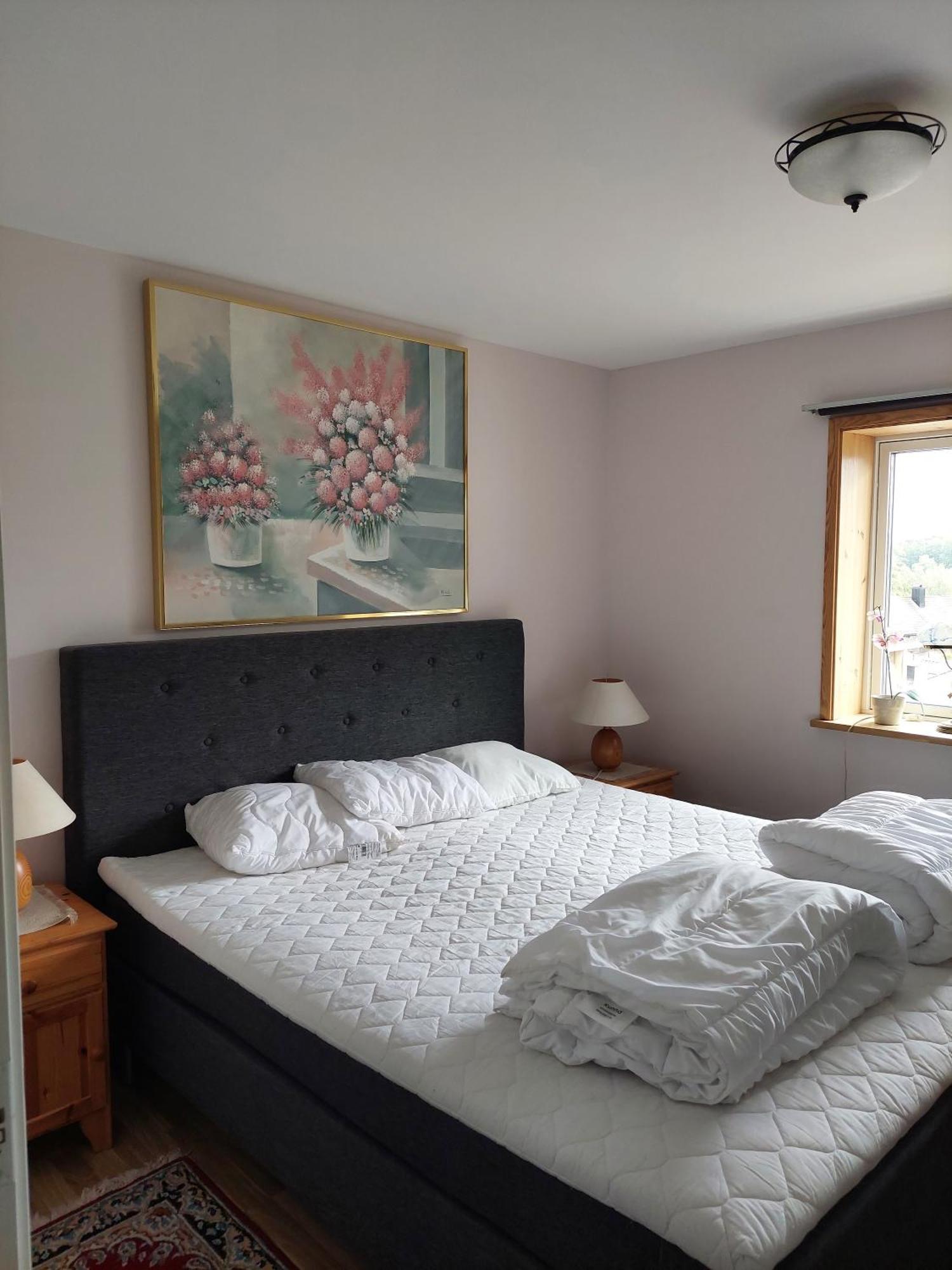 Villa Med Sjoeutsikt Immeln Экстерьер фото